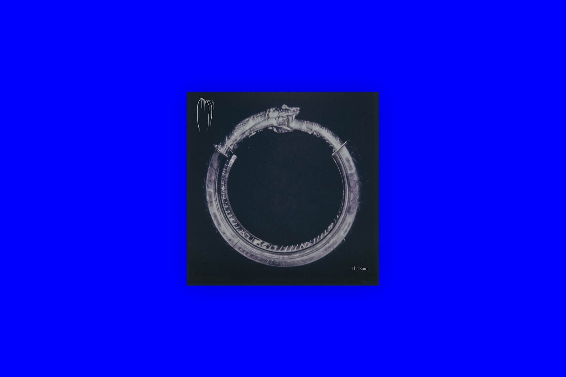 Staff Picks November 2025