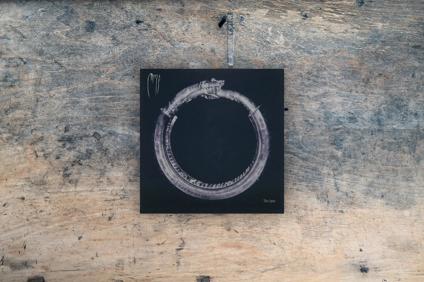 Staff Picks November 2025