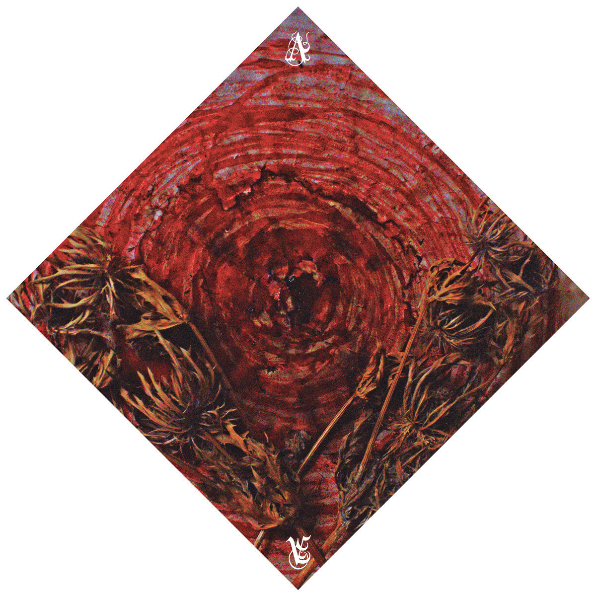 AINSOPH &quot;Affection And Vengeance&quot; Tape