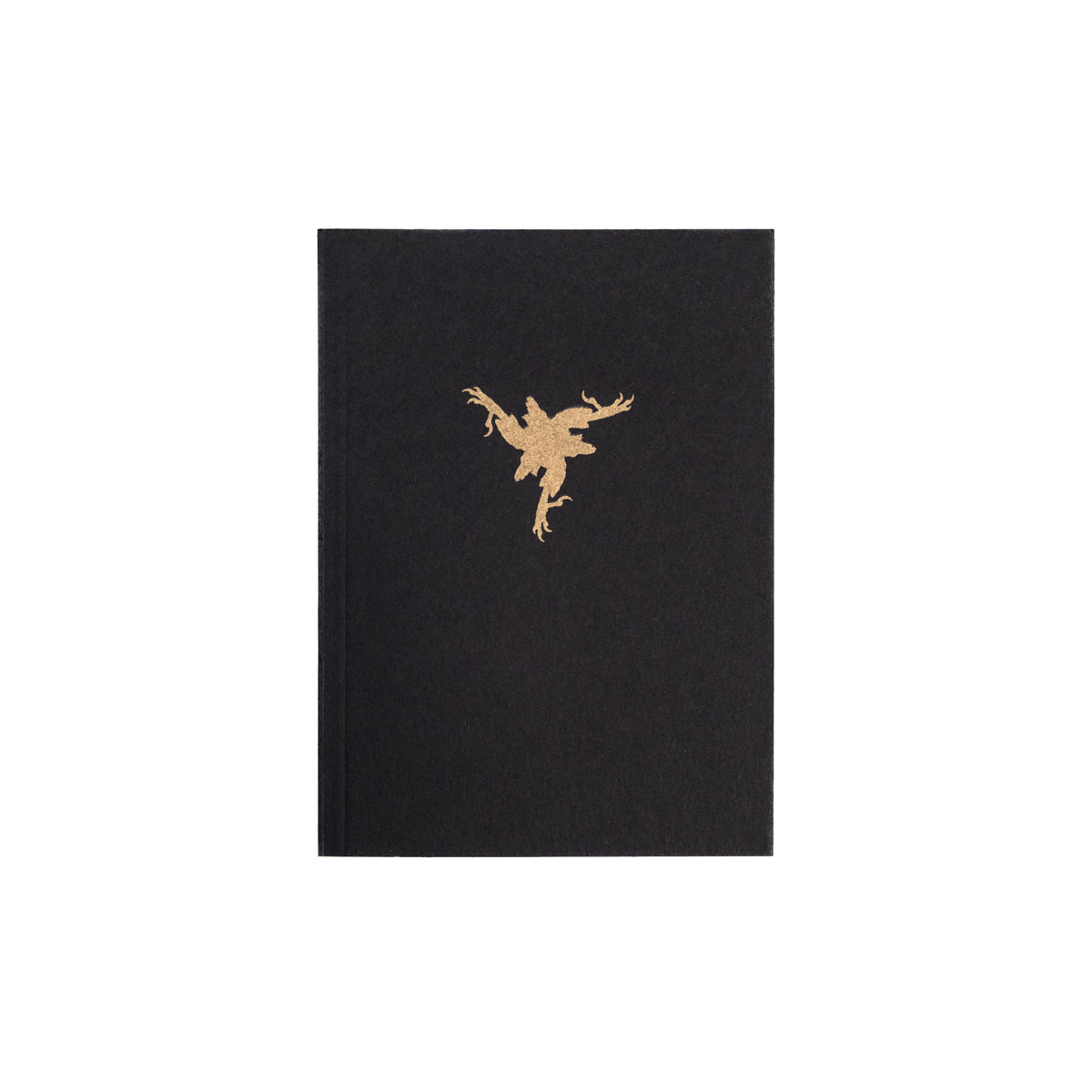 AMENRA &quot;Bible&quot; Book