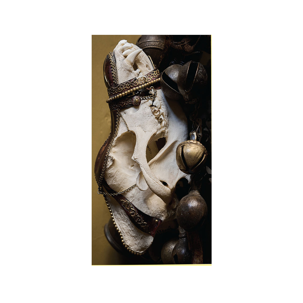 AMENRA &quot;De Toorn &amp; With Fang And Claw&quot; Tape