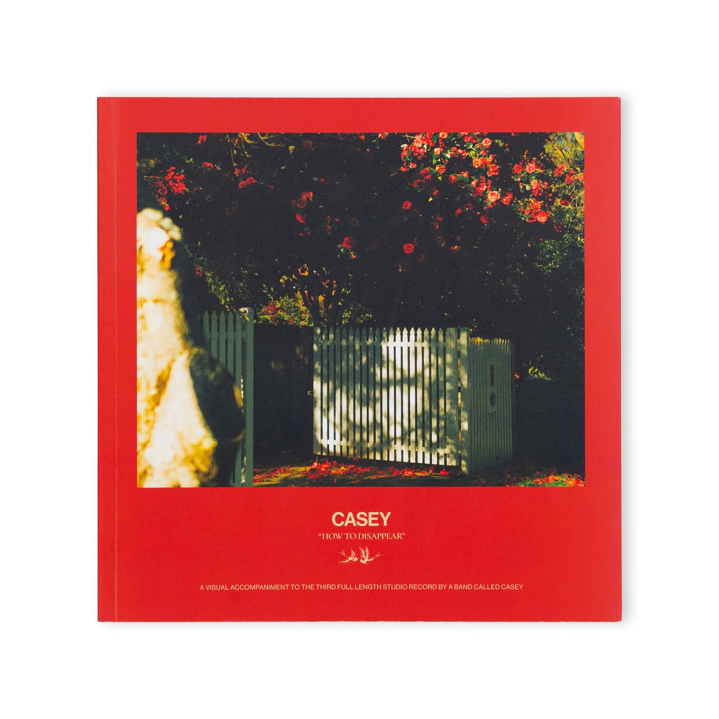 CASEY &quot;How To Disappear (Alternate Cover) + Booklet&quot; LP