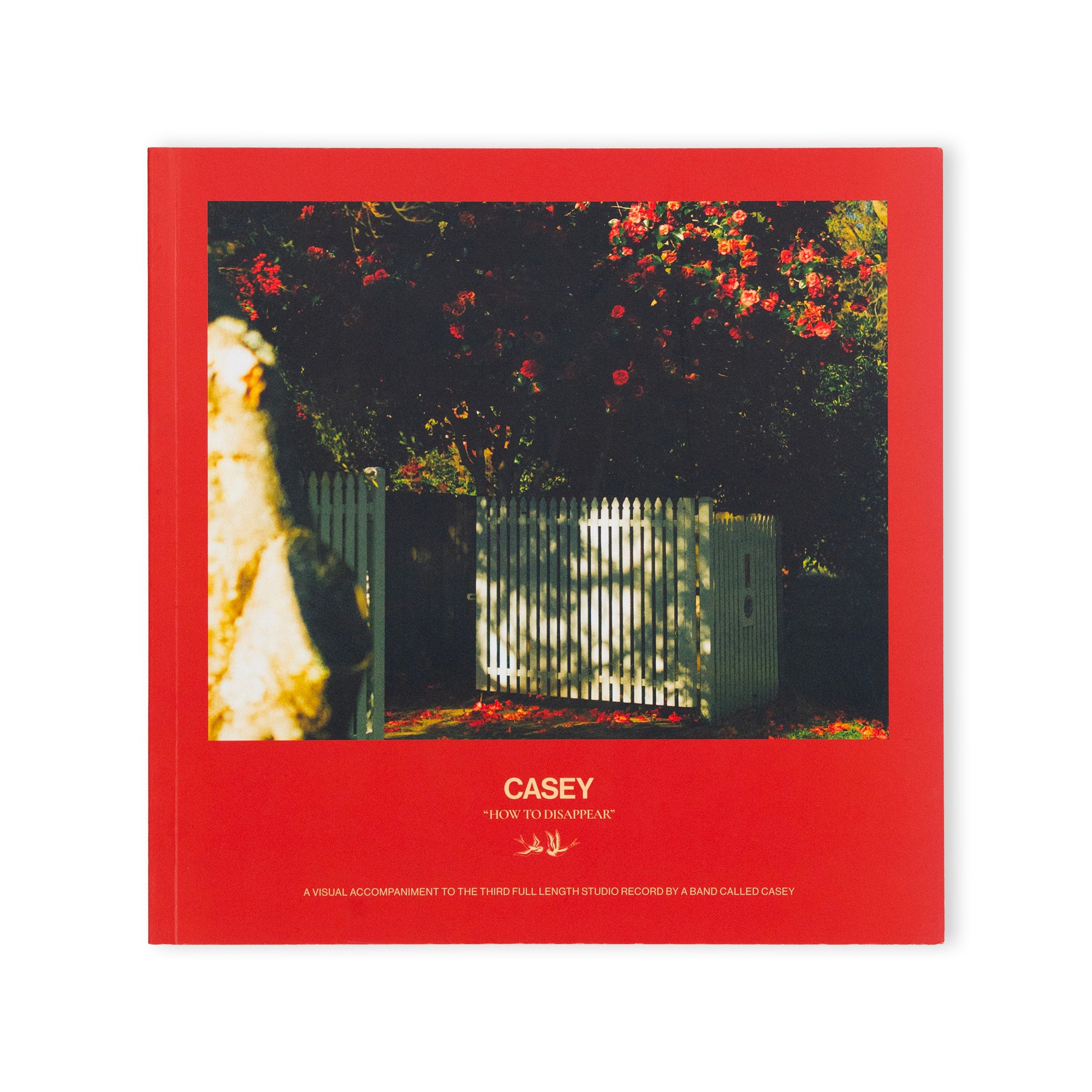 CASEY &quot;How To Disappear (Alternate Cover) + Booklet&quot; LP