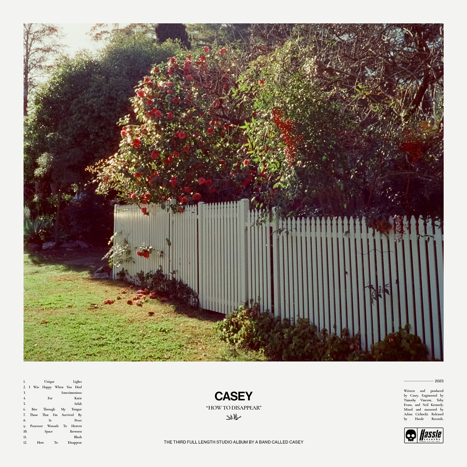 CASEY &quot;How To Disappear (Alternate Cover)&quot; LP