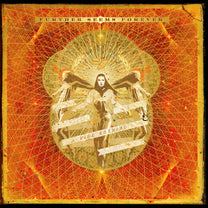 FURTHER SEEMS FOREVER &quot;Hide Nothing&quot; LP