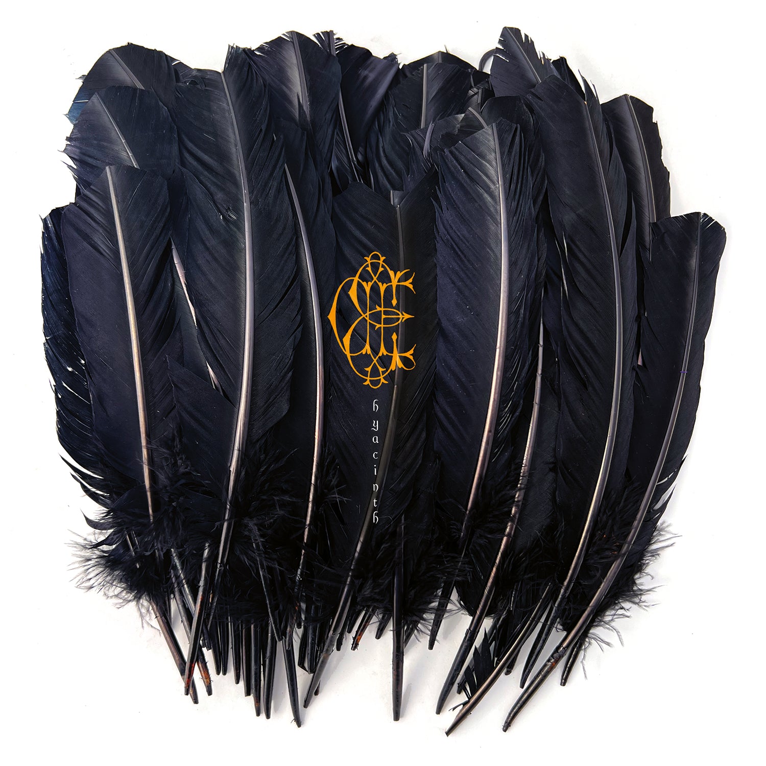 DAVID EUGENE EDWARDS &quot;Hyacinth&quot; CD