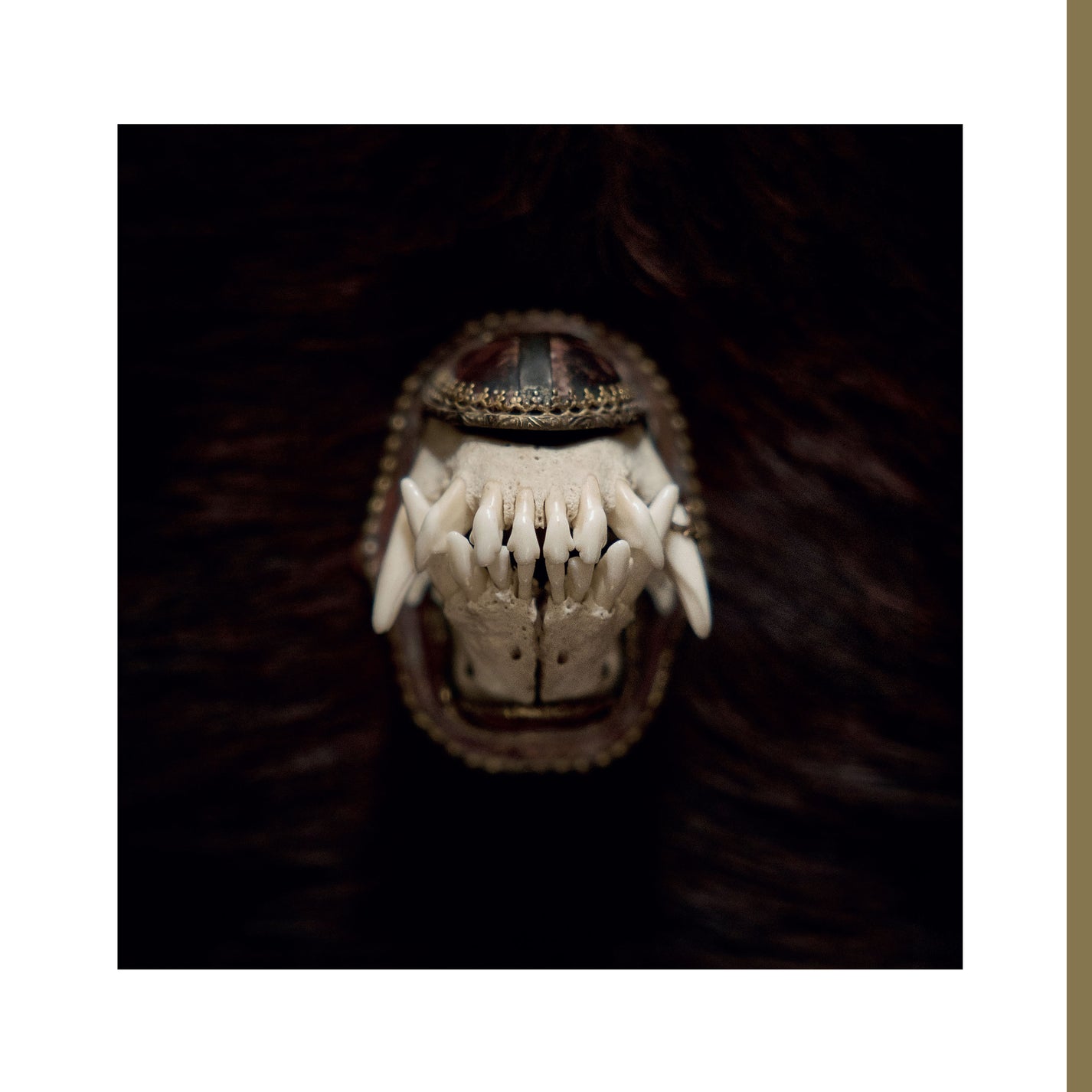 AMENRA &quot;De Toorn&quot; 12&quot;