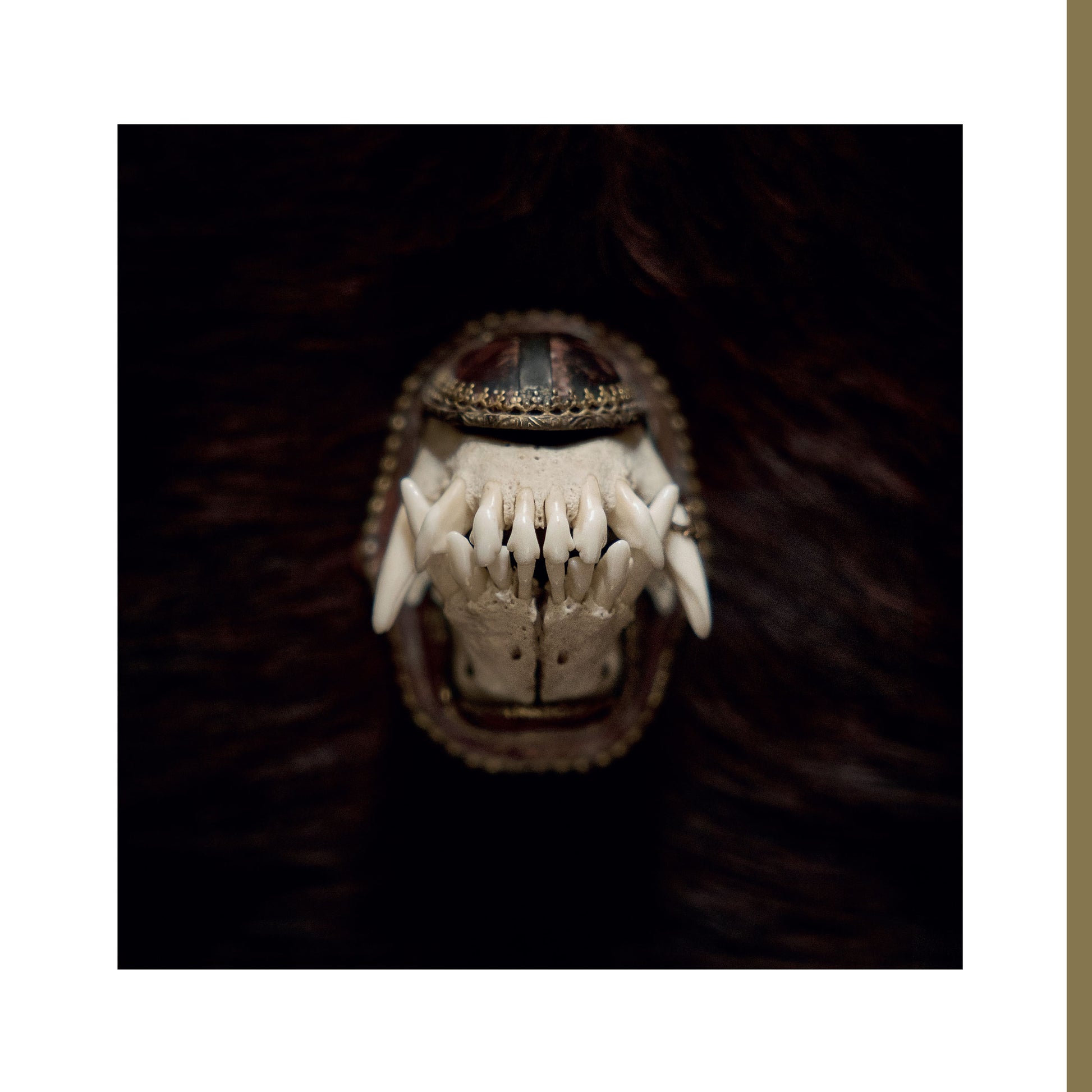 AMENRA &quot;De Toorn&quot; 12&quot;