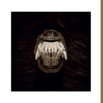 AMENRA &quot;De Toorn&quot; 12&quot;