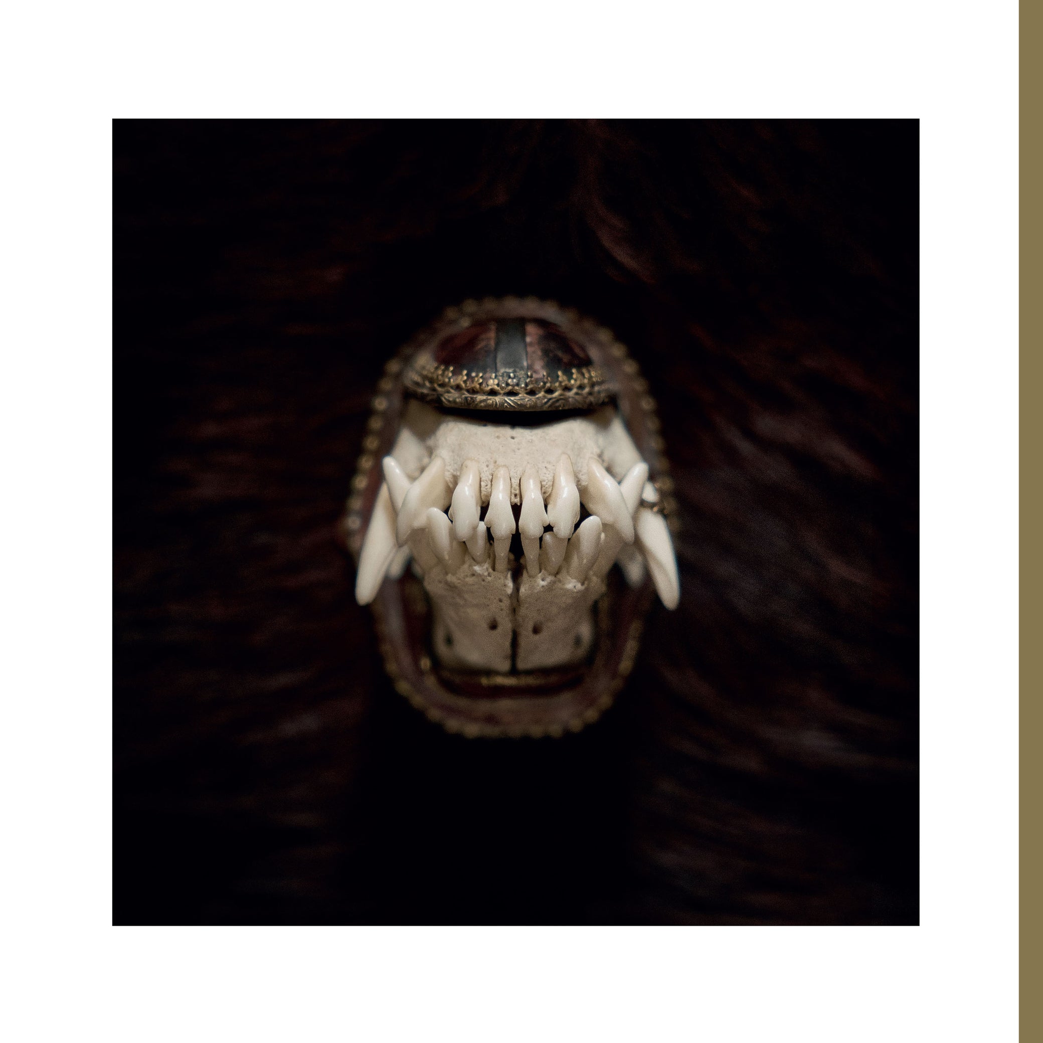 AMENRA &quot;De Toorn&quot; 12&quot;