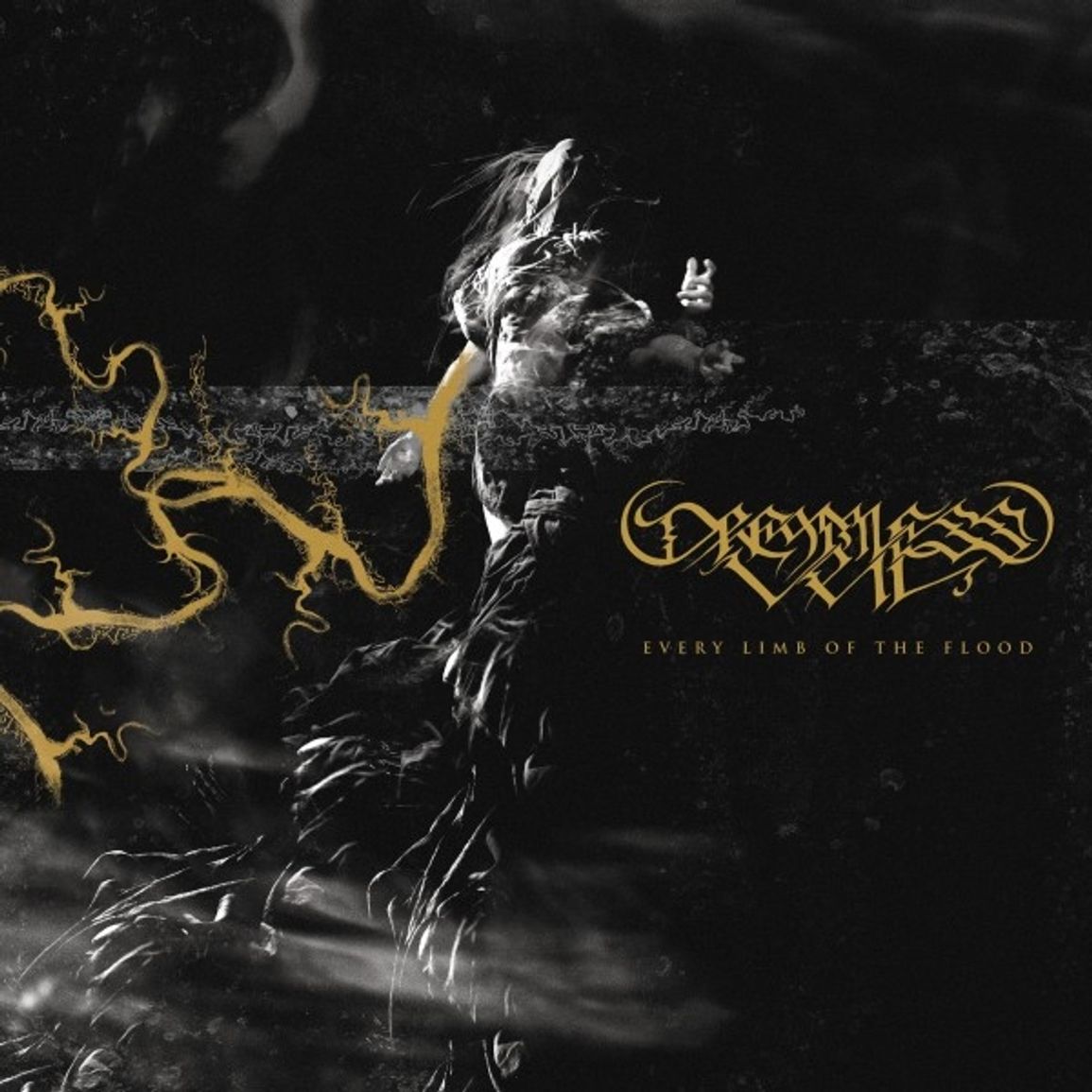 DREAMLESS VEIL "Every Limb Of The Flood" LP