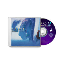 FLESHWATER &quot;2000: In Search Of The Endless Sky&quot; CD