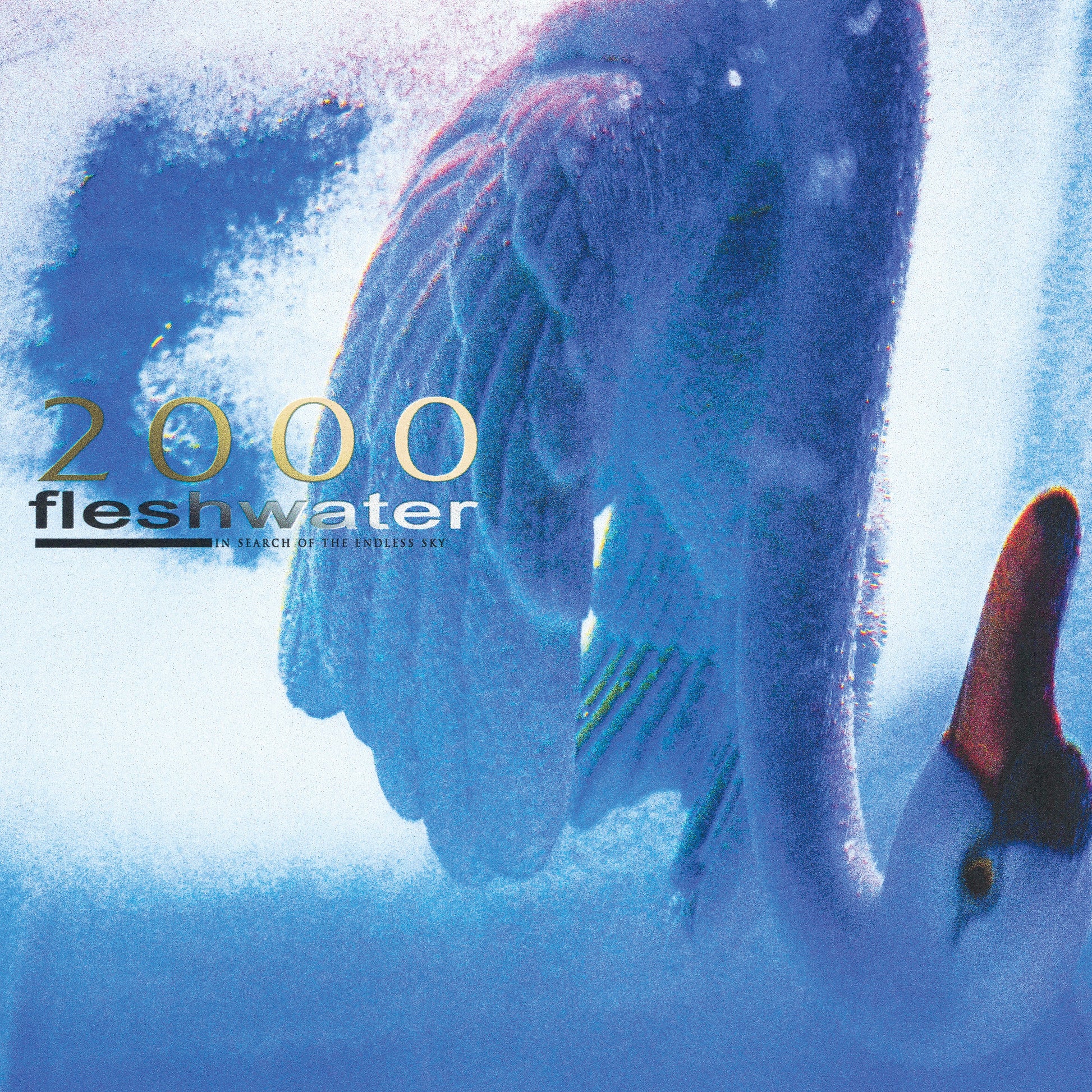 FLESHWATER &quot;2000: In Search Of The Endless Sky&quot; CD