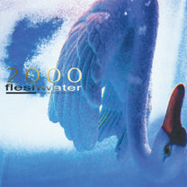 FLESHWATER &quot;2000: In Search Of The Endless Sky&quot; CD