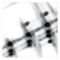 GREGOR SAMSA &quot;40:13.5&quot; LP