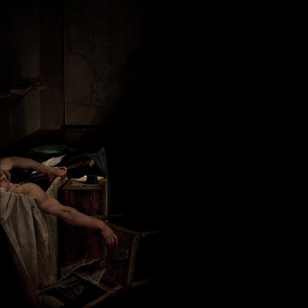 HAVE A NICE LIFE &quot;Voids&quot; 2xLP