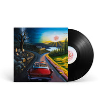 HAYWIRE 617 "I Don't Wanna Say Goodbye" LP