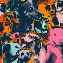 IODINE RECORDS &quot;The Dogs Of Hope&quot; LP