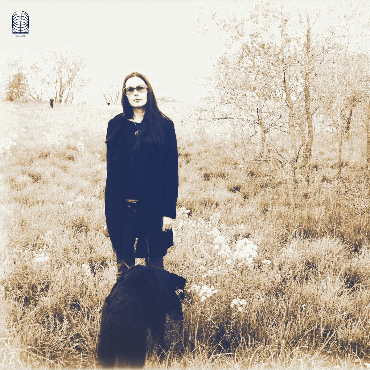 JESSE SYKES &amp; THE SWEET HEREAFTER &quot;Forever, I&#39;ve Been Being Born&quot; LP