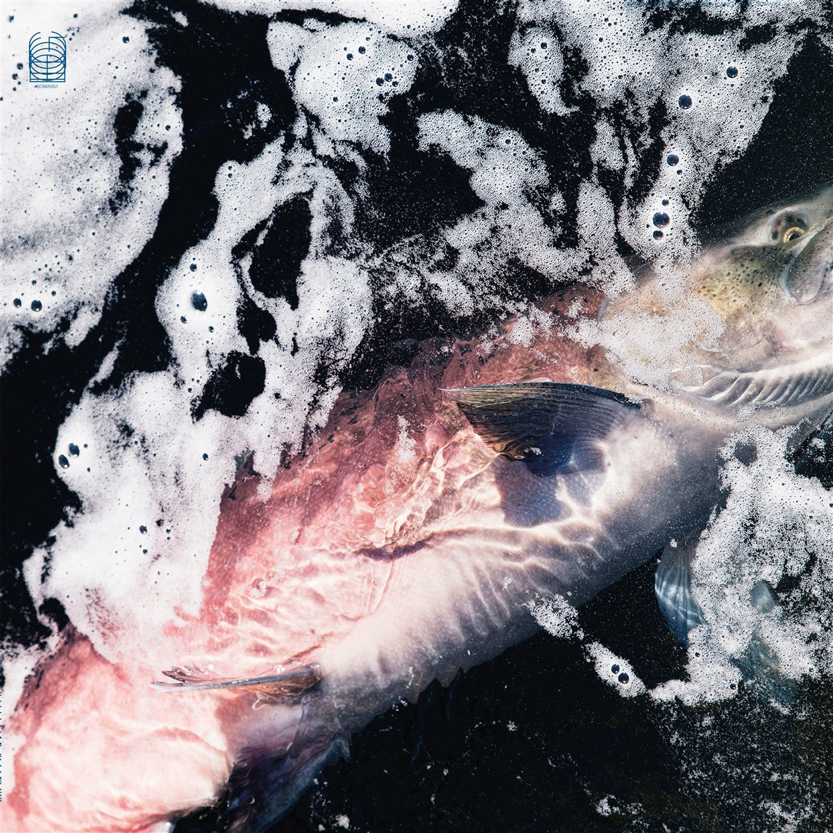 JESSIKA KENNEY &amp; EYVIND KANG &quot;Azure&quot; LP