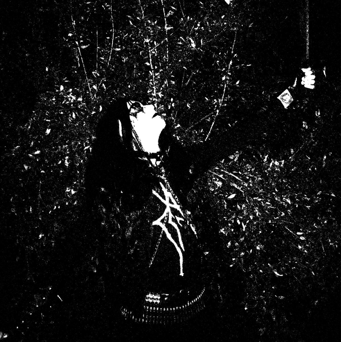 MÄLEFICENTT "Night Of Eternal Darkness" LP