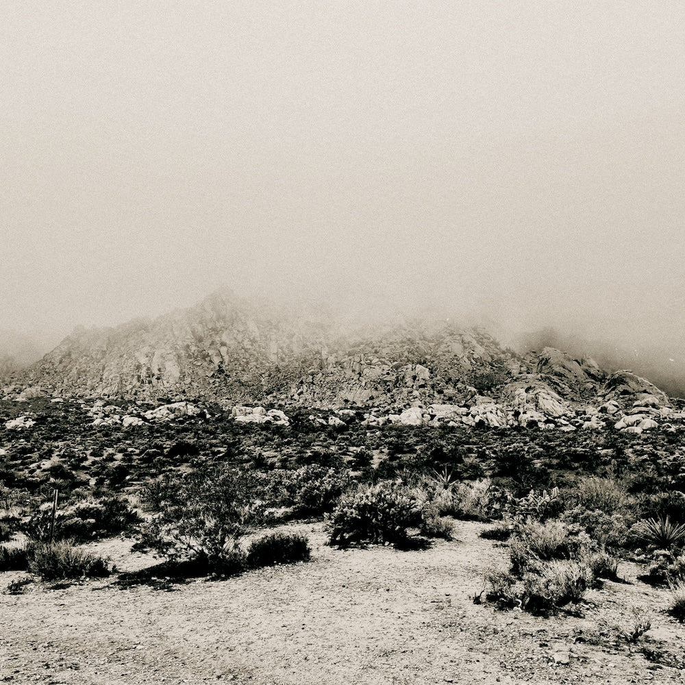 MIZMOR &quot;Mnemonic: Ambient Mosaic&quot; LP