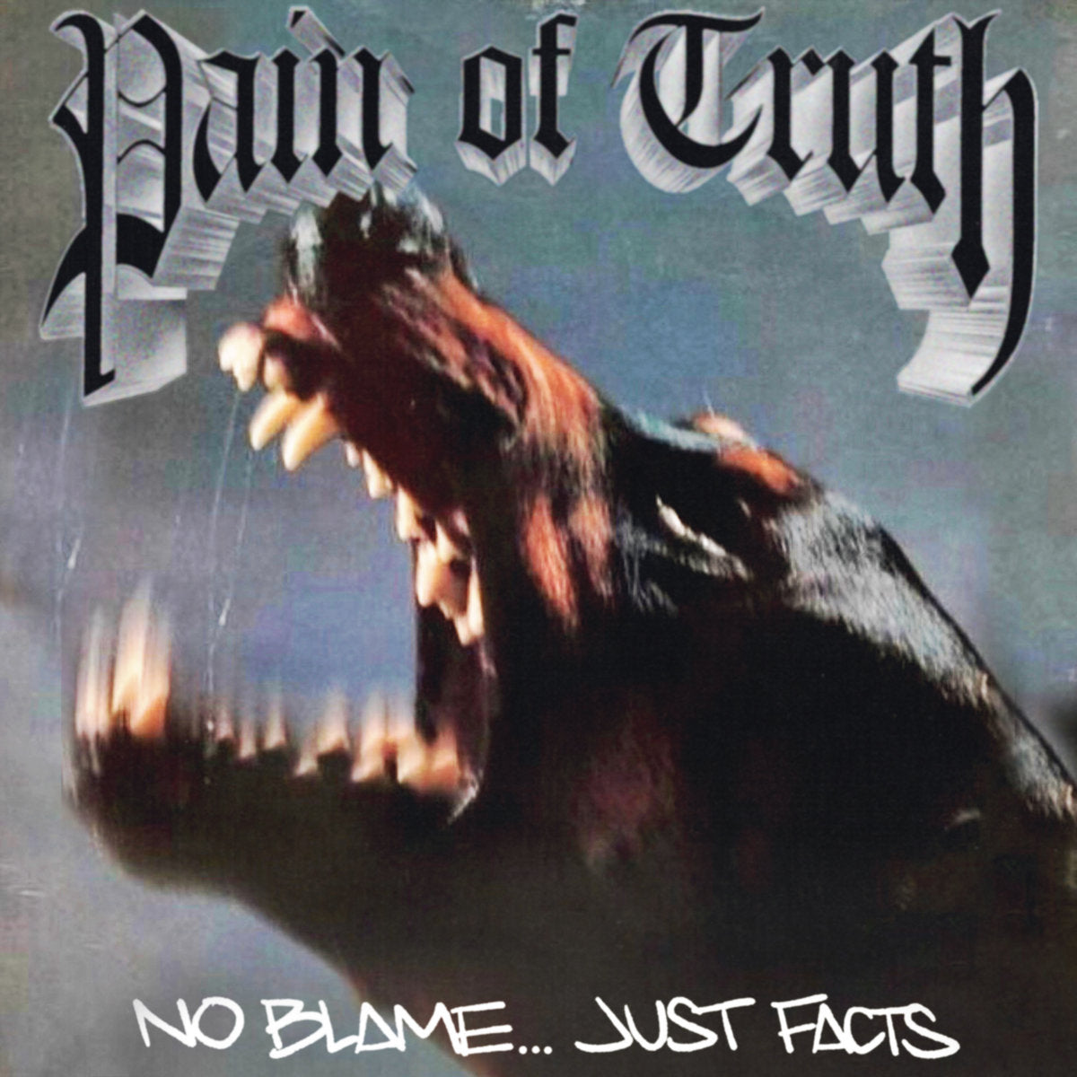 PAIN OF TRUTH &quot;No Blame... Just Facts&quot; 12&quot;