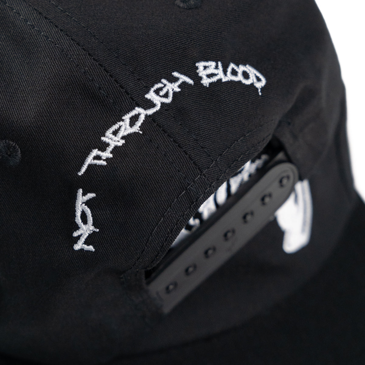 PAIN OF TRUTH &quot;Not Through Blood&quot; Snapback Cap