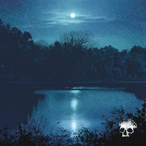 PLANES MISTAKEN FOR STARS &quot;Do You Still Love Me?&quot; LP