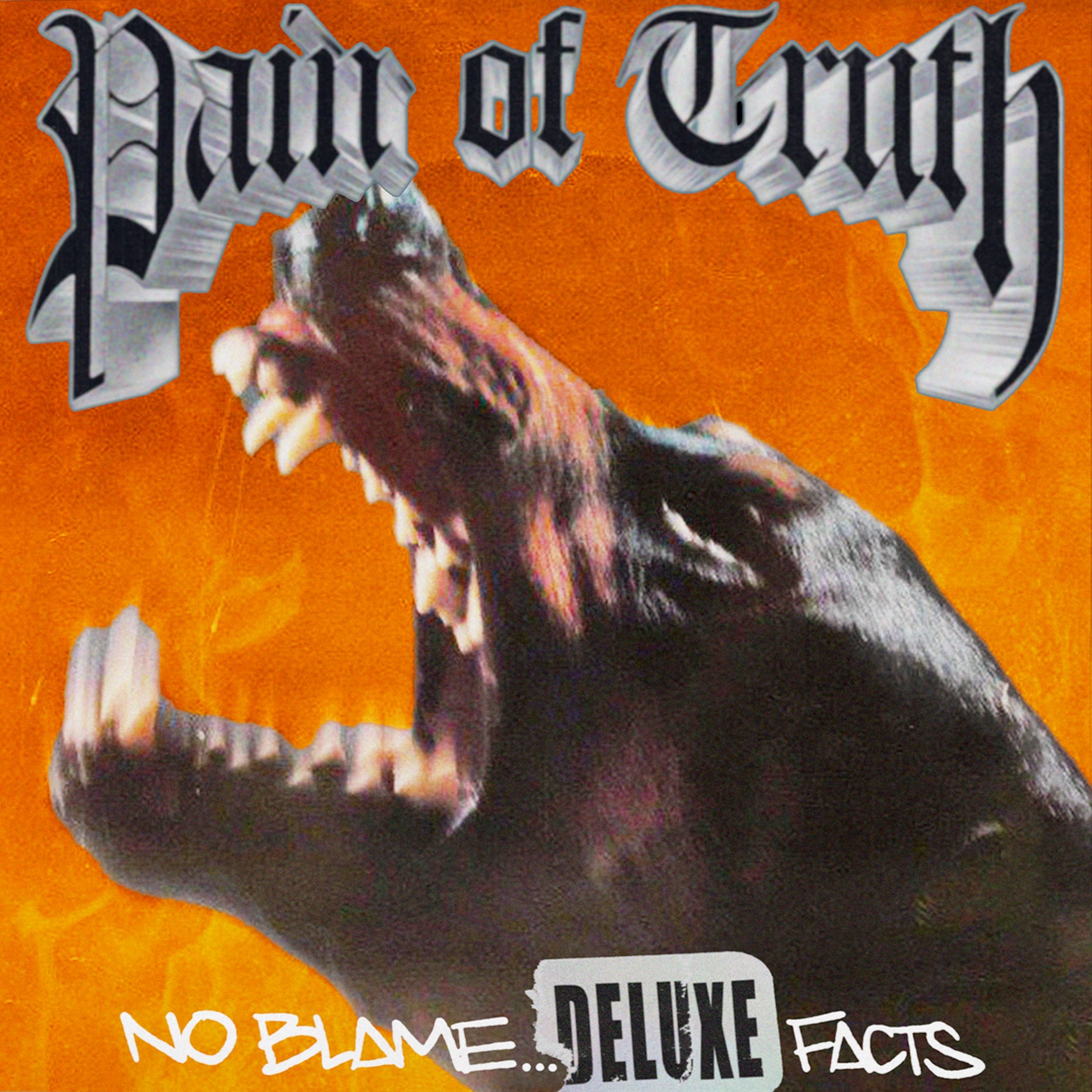 PAIN OF TRUTH &quot;No Blame... Deluxe Facts&quot; CD