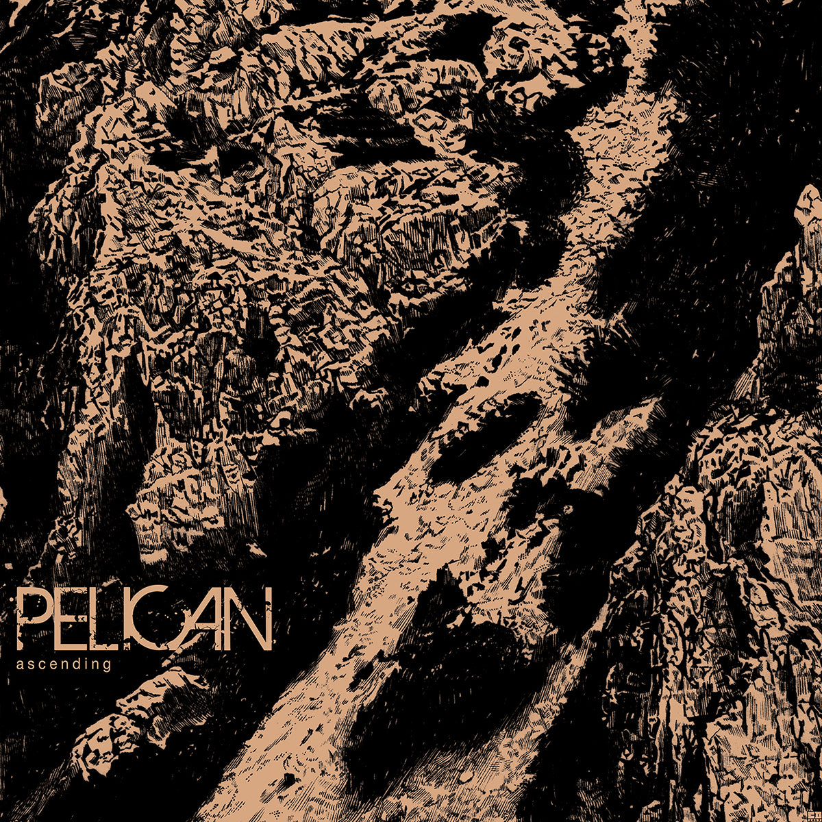 PELICAN &quot;Ascending&quot; 12&quot;