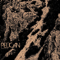 PELICAN "Ascending" 12"