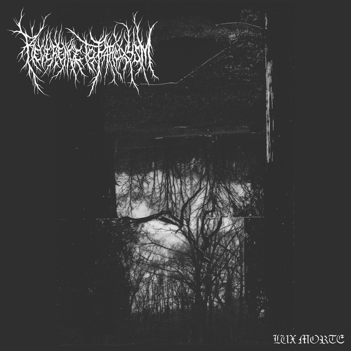 REVERENCE TO PAROXYSM "Lux Morte" LP