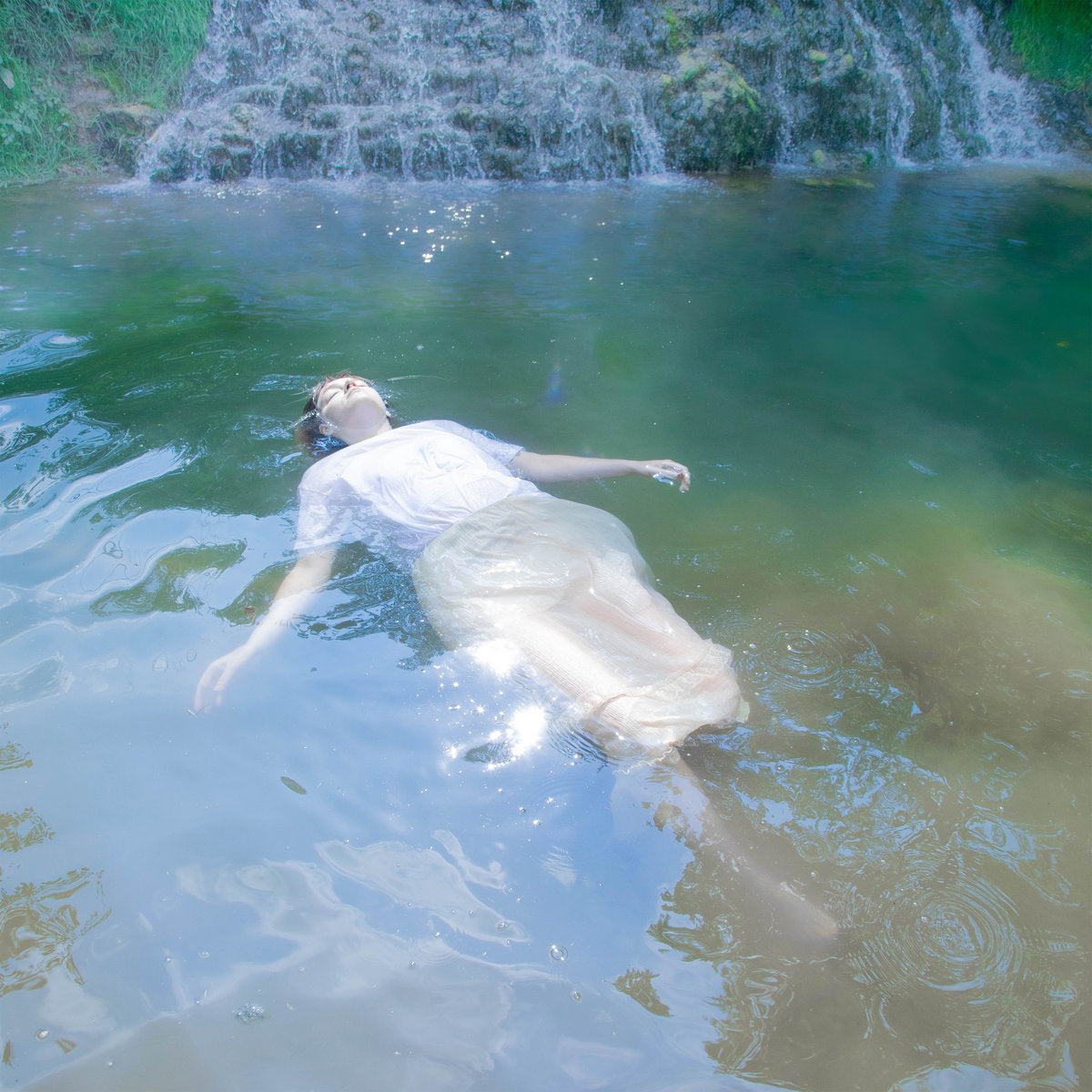 SHE'S GREEN "Wisteria" LP
