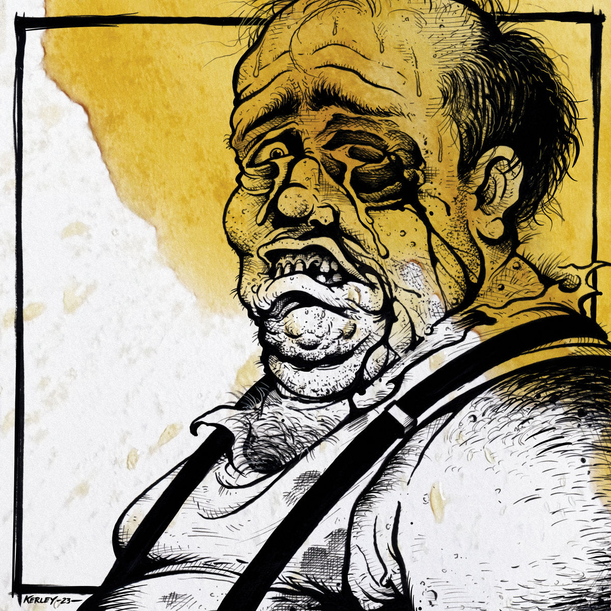 SKINHEAD &quot;Everything Was Beautiful And Nothing Hurt&quot; LP