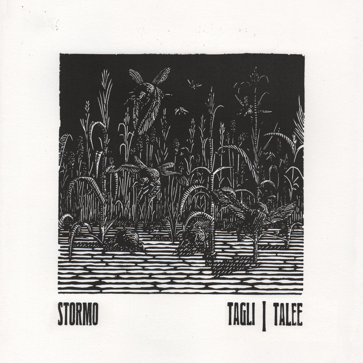 STORMO &quot;Tagli/Talee&quot; CD