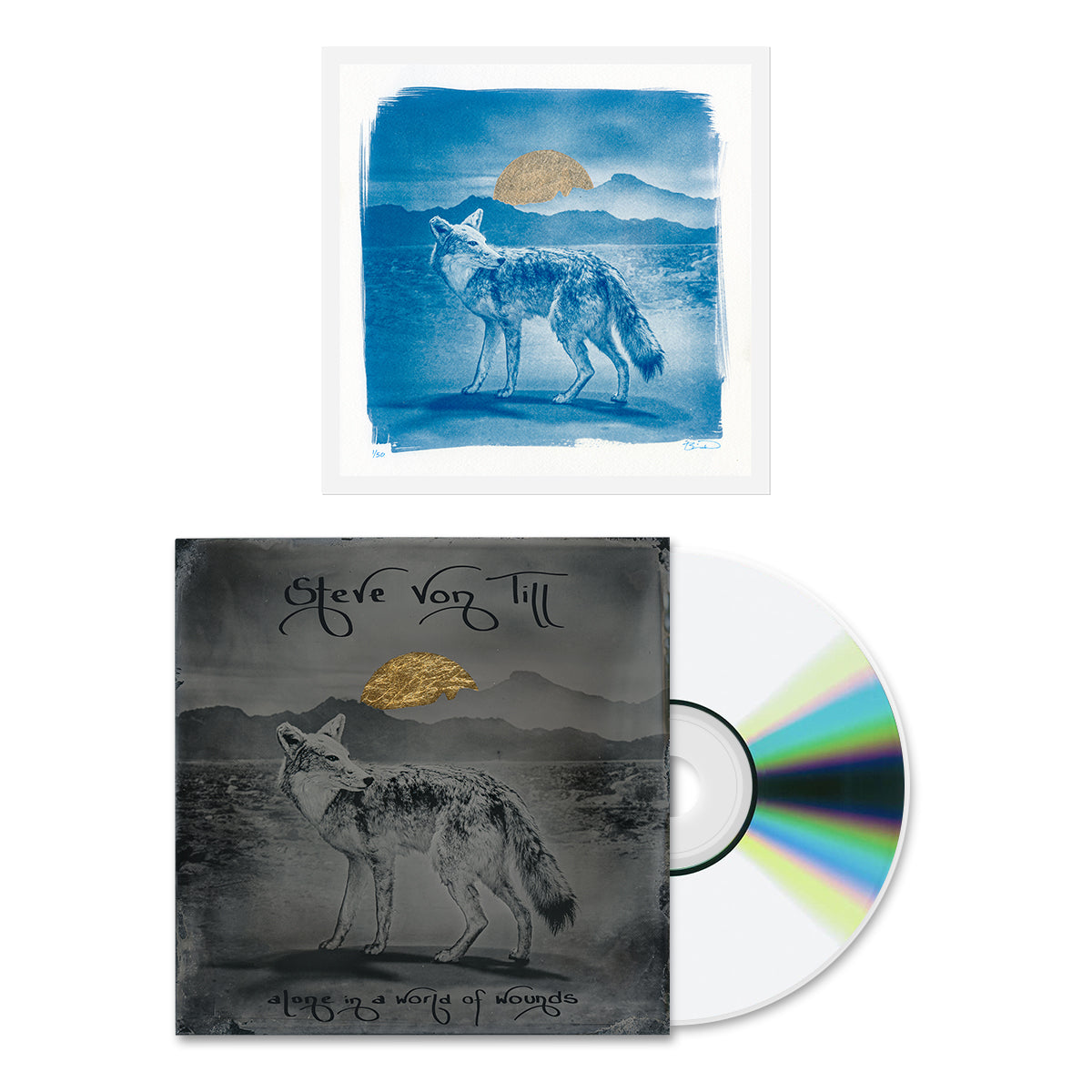 STEVE VON TILL "Alone In A World Of Wounds" CD + Cyanotype Print Bundle