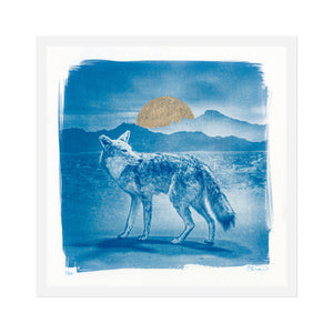 STEVE VON TILL "Alone In A World Of Wounds" CD + Cyanotype Print Bundle