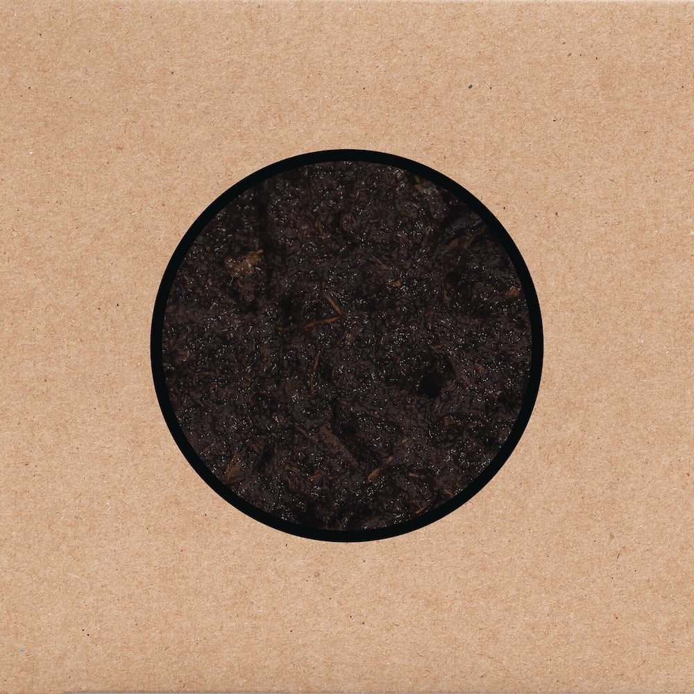 SWANS &quot;Birthing&quot; 3xLP + DVD