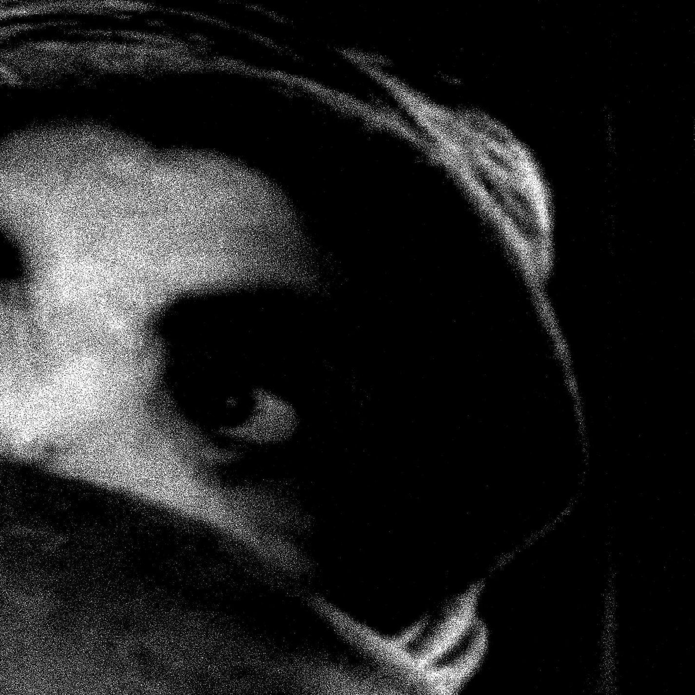 THE BODY &quot;The Crying Out Of Things&quot; LP