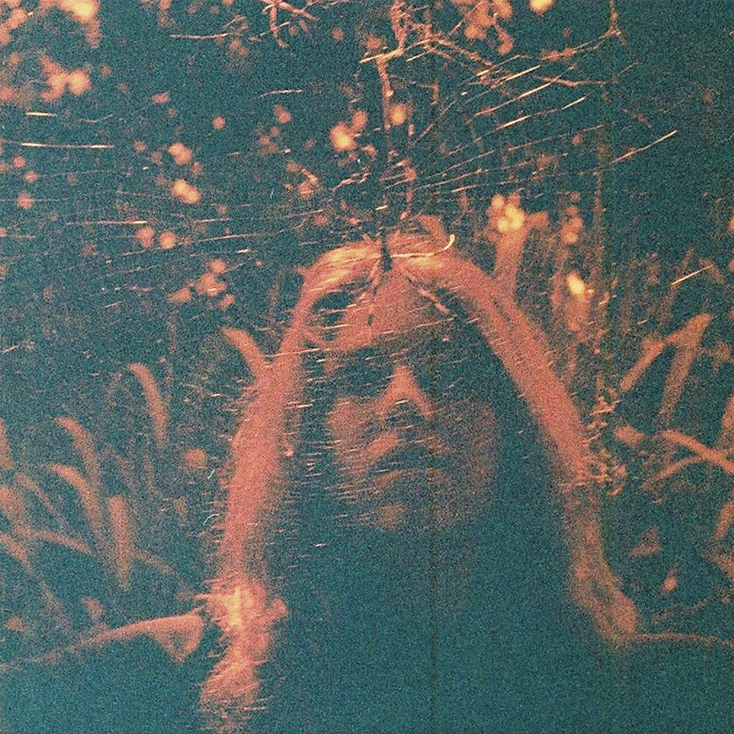 TURNOVER &quot;Peripheral Vision (10 Year Anniversary Edition)&quot; LP