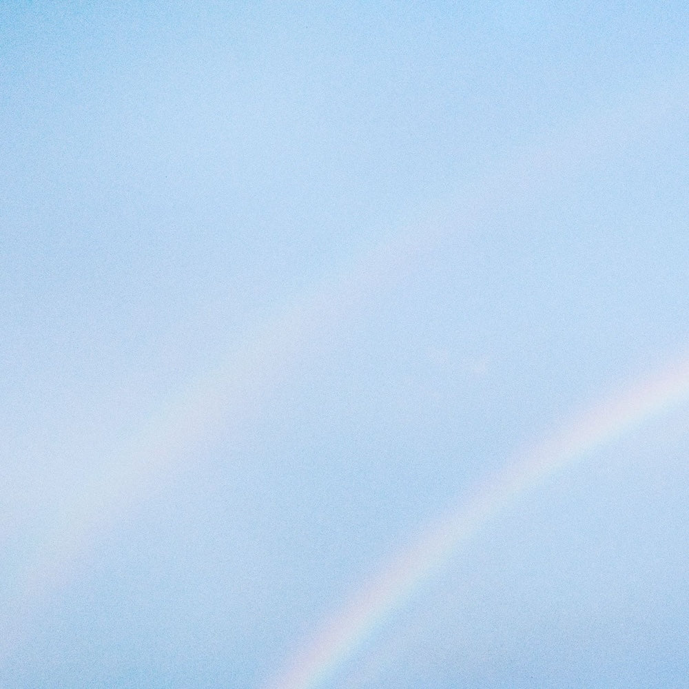 TURNSTILE &quot;Never Enough&quot; CD