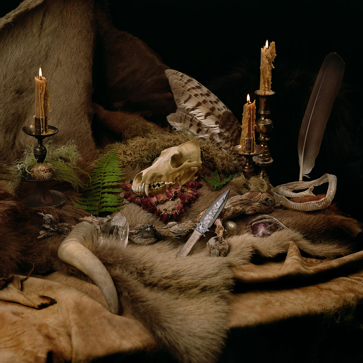 WOLVES IN THE THRONE ROOM &quot;Primordial Arcana&quot; LP