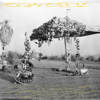 XIAO &quot;Control&quot; LP