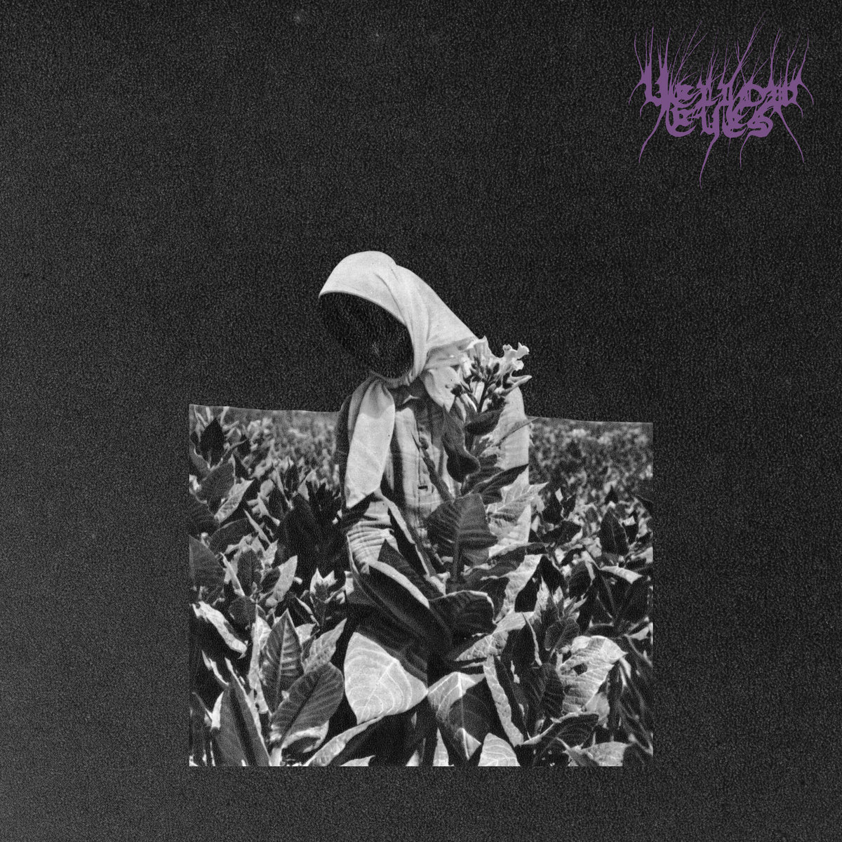 YELLOW EYES &quot;Master&#39;s Murmur&quot; LP