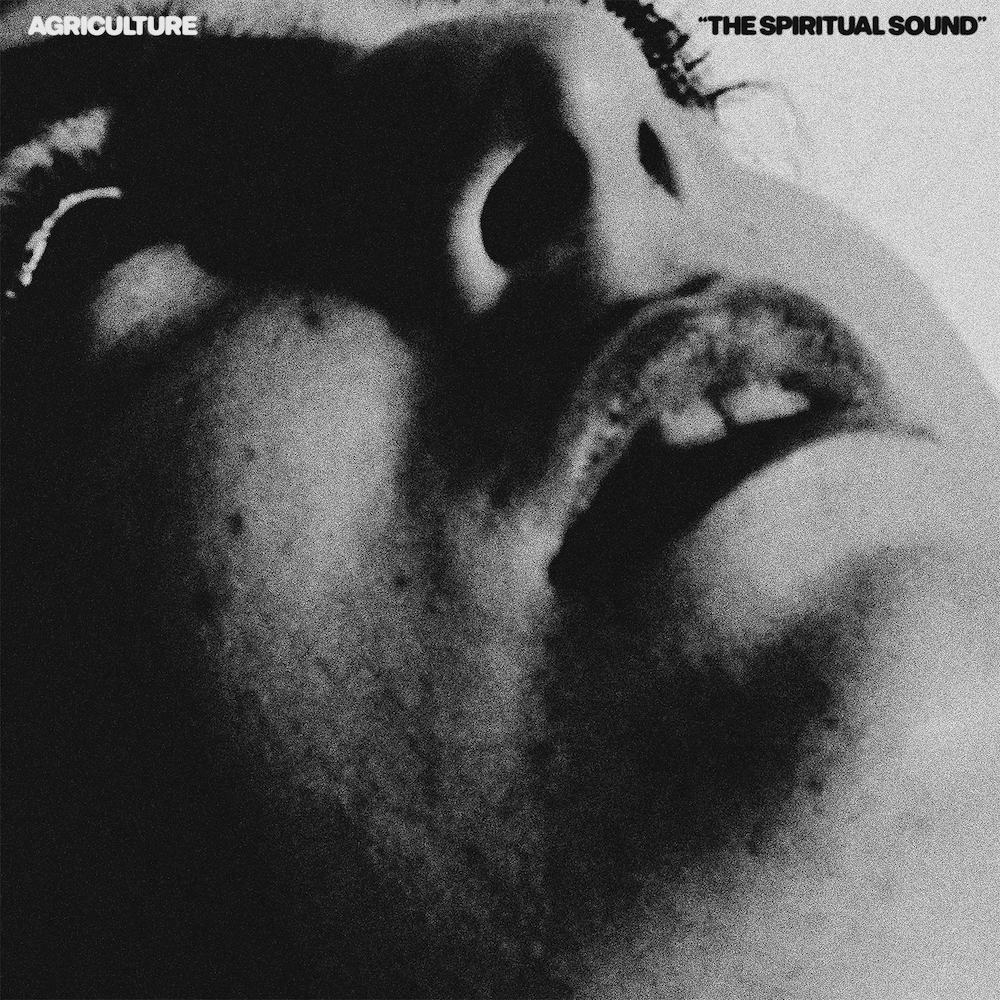 AGRICULTURE "The Spiritual Sound" CD