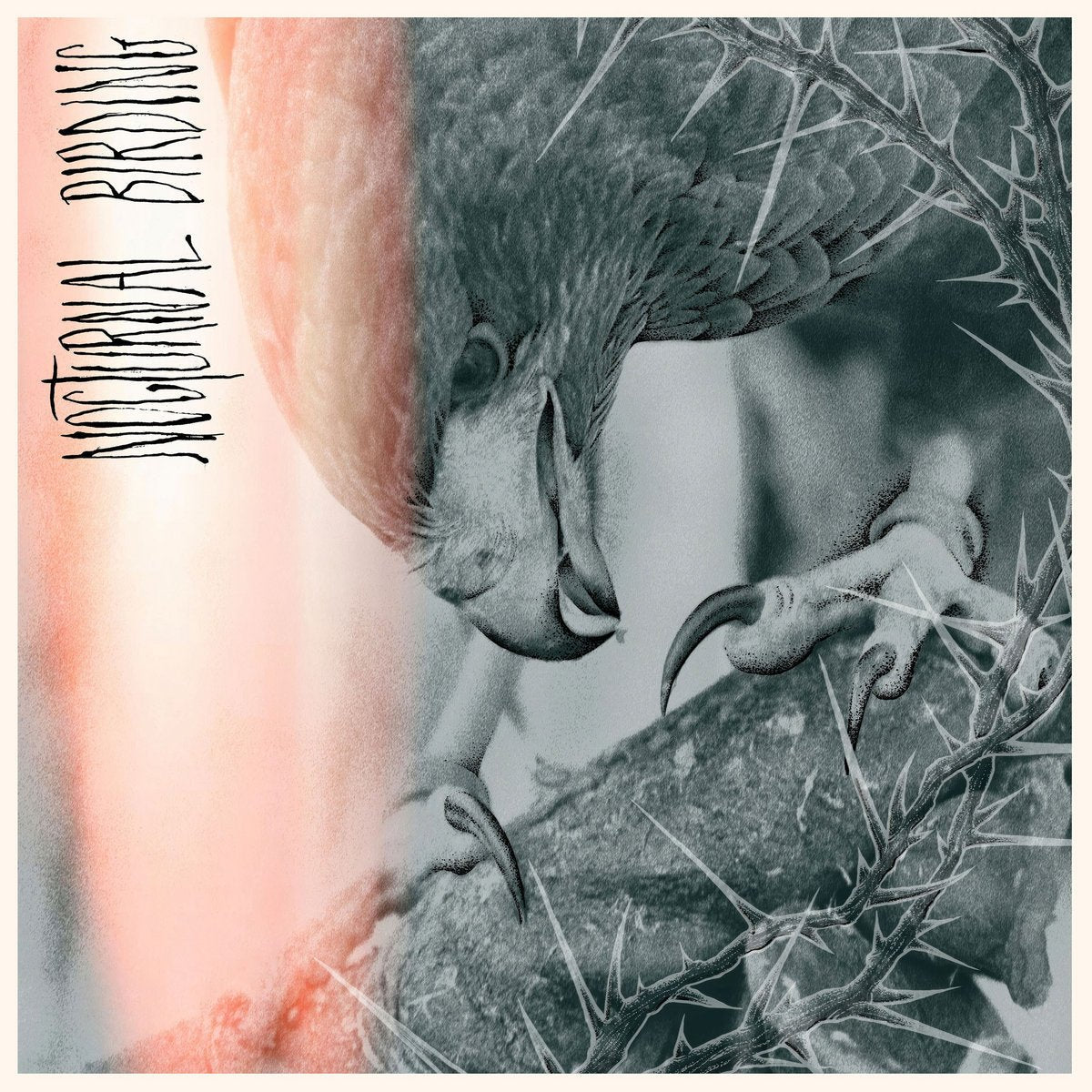 AUTHOR &amp; PUNISHER "Nocturnal Birding" LP