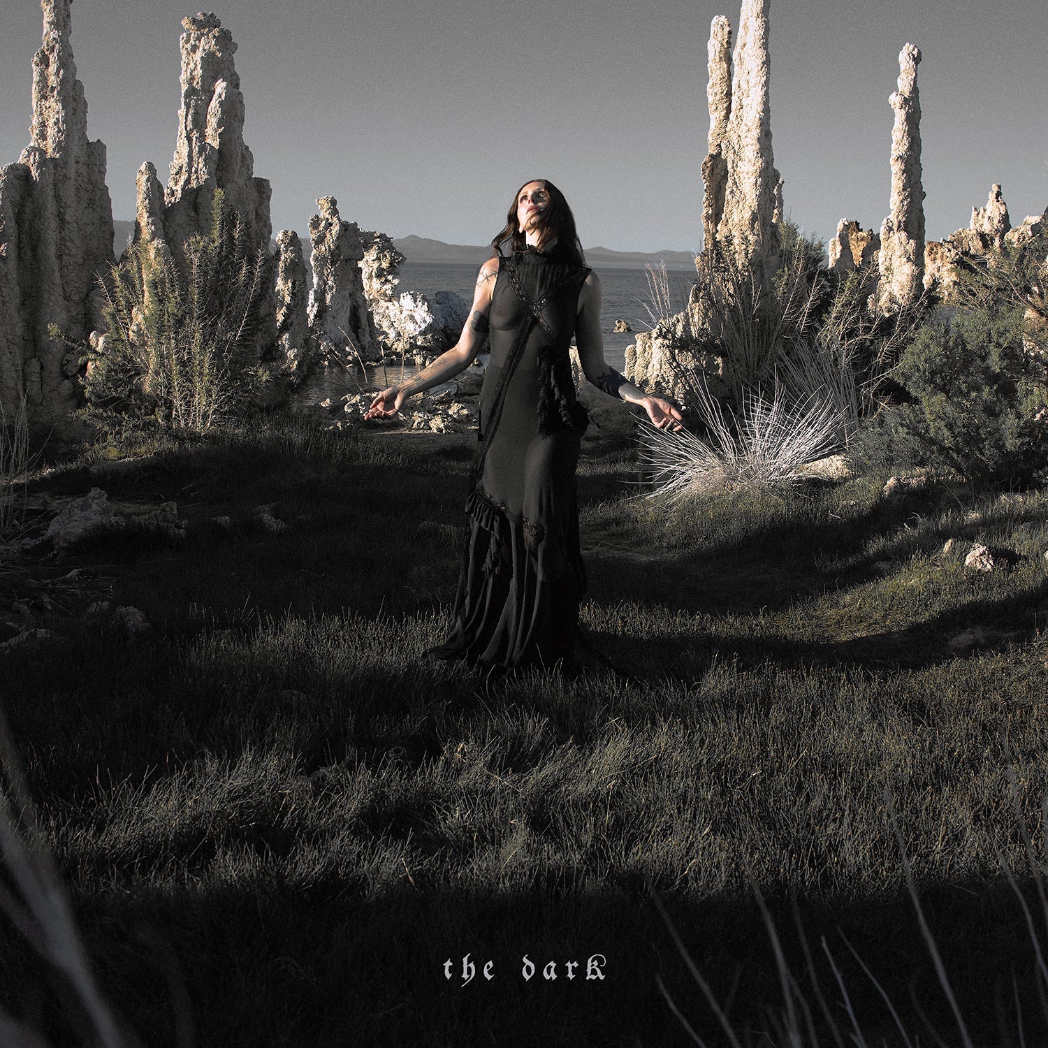 CHELSEA WOLFE "The Dark" LP - Evil Greed