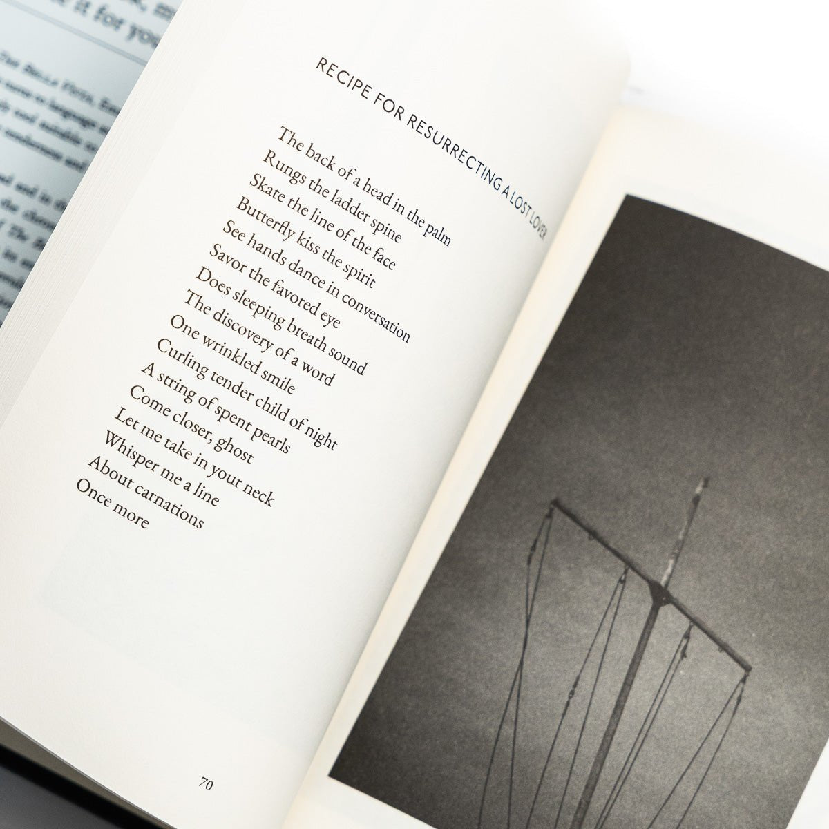 EMMA RUTH RUNDLE "The Bella Vista" Book - Evil Greed