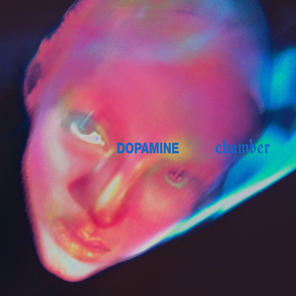 FONTAINES D.C. "Dopamine Chaser" LP - Evil Greed